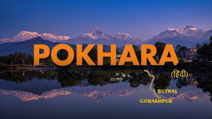 Documentaries – Real Stories, Real Impact